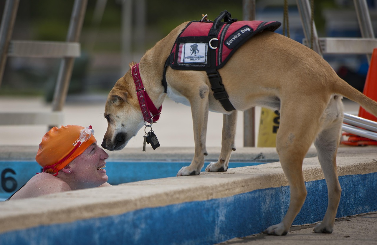 RONCESCAN PERROS DE AYUDA