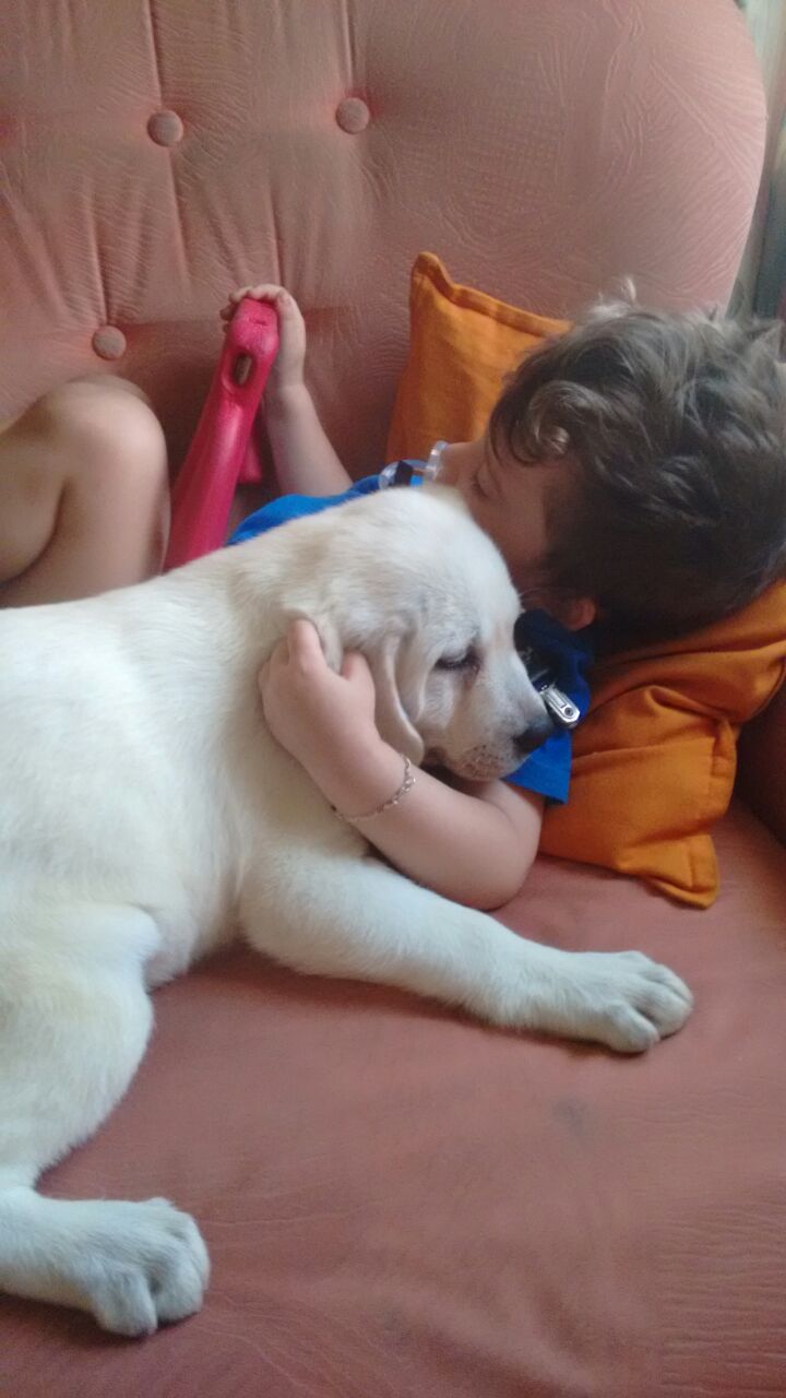 Niño descansando abrazado a un perro de asistencia