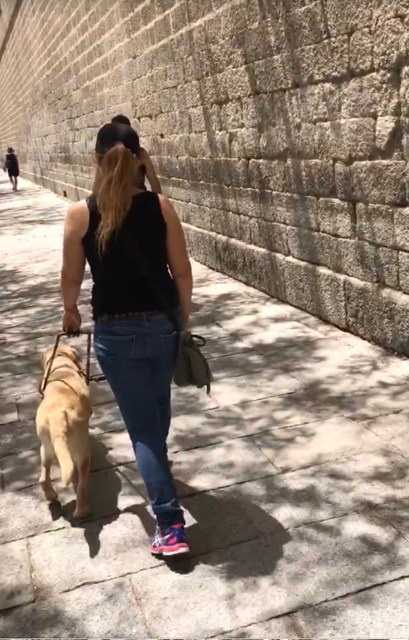 Perro guía acompañando a una mujer por la ciudad