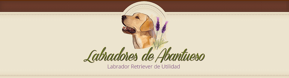 logotipo labrador abantueso retriever