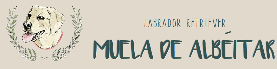 Logotipo de Muela de Albéitar