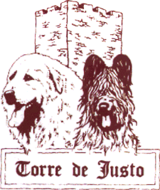 Logotipo de Torre de Justo