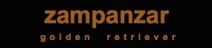 Logotipo de Zampanzar Golden Retriever