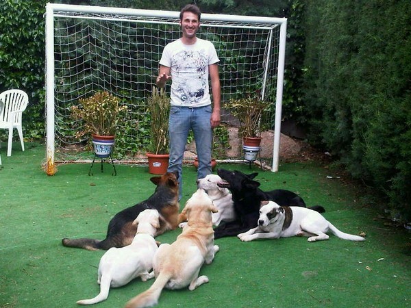 Grupo de perros entrenando junto a su educador